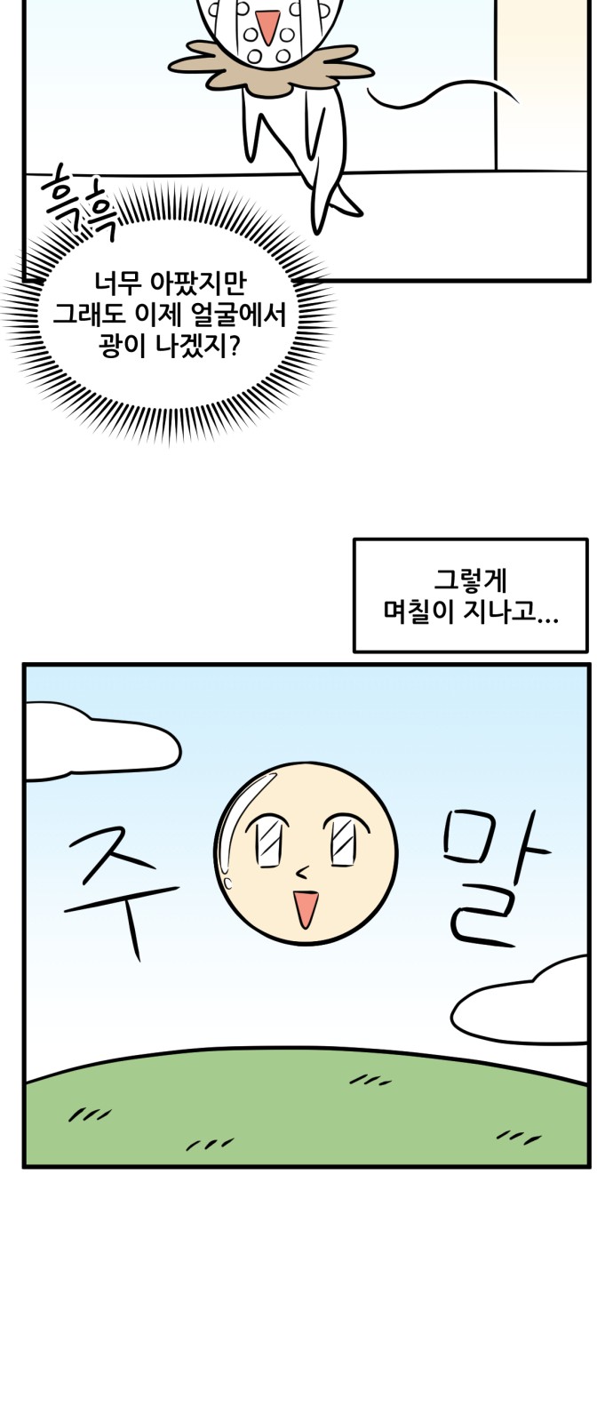 16 페이지