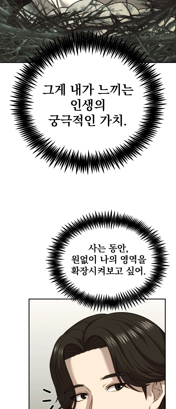 66 페이지