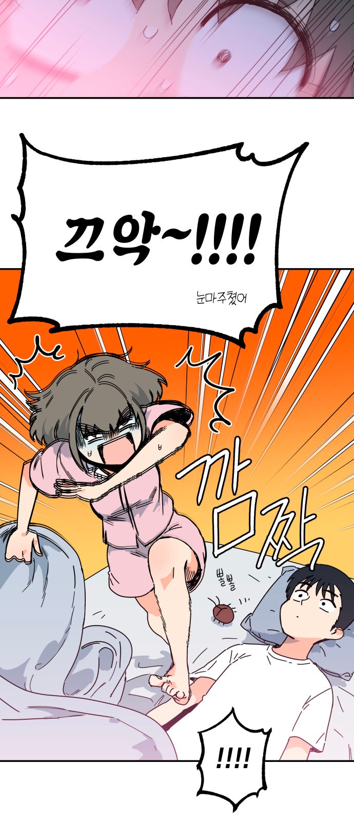 48 페이지