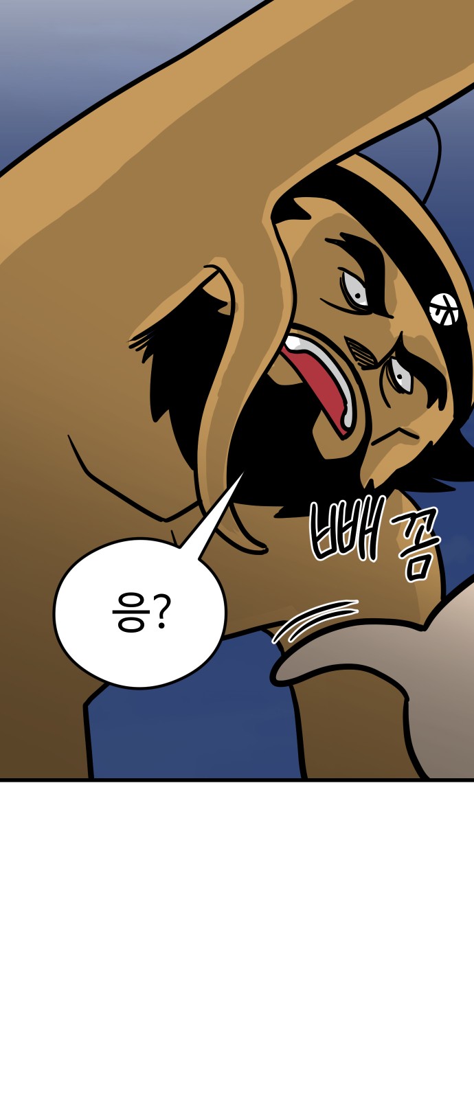 66 페이지