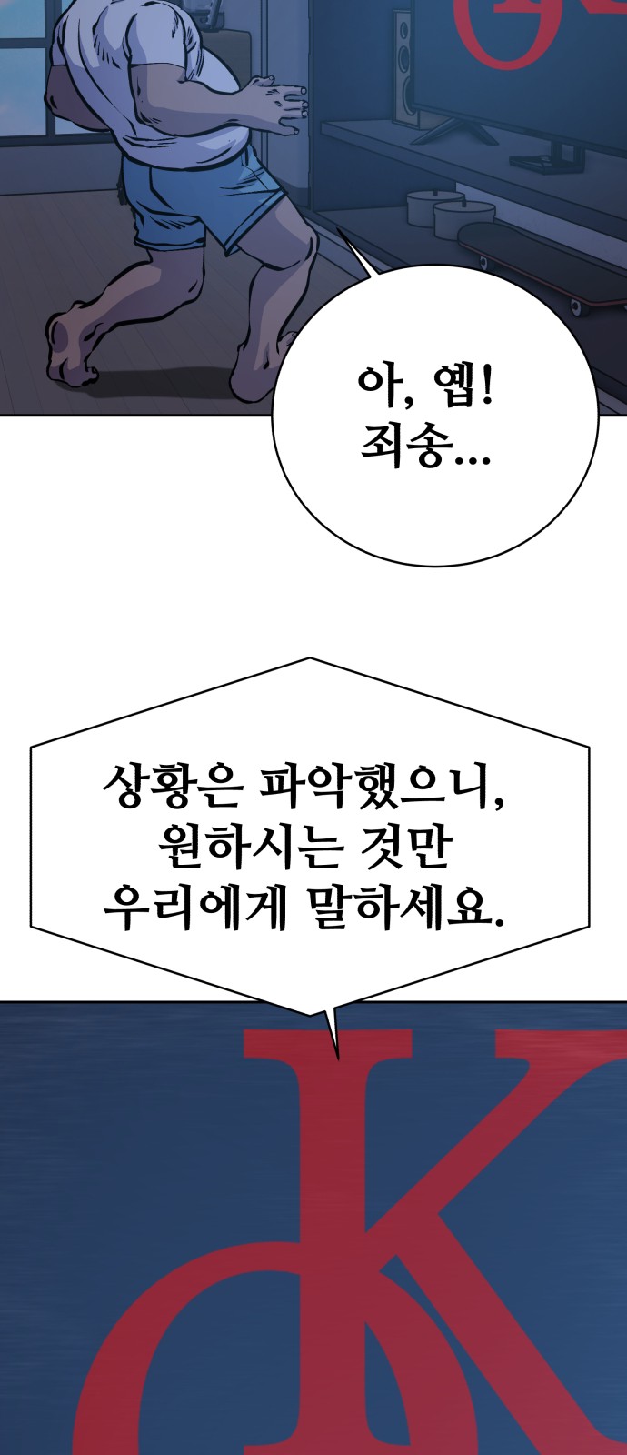 66 페이지