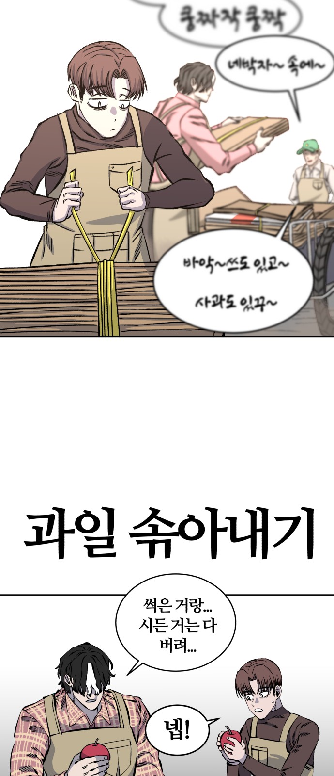 43 페이지