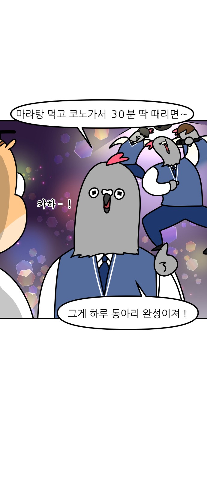 15 페이지