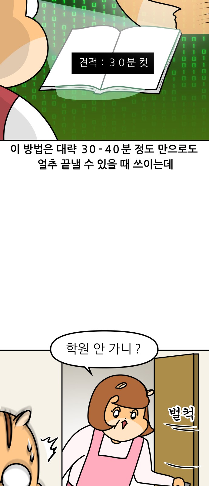 13 페이지