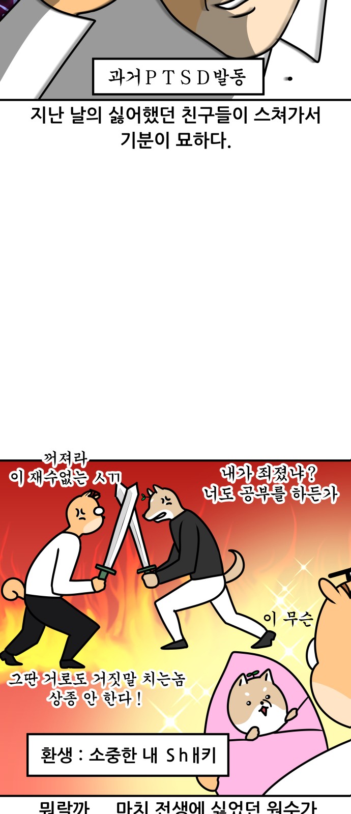 13 페이지