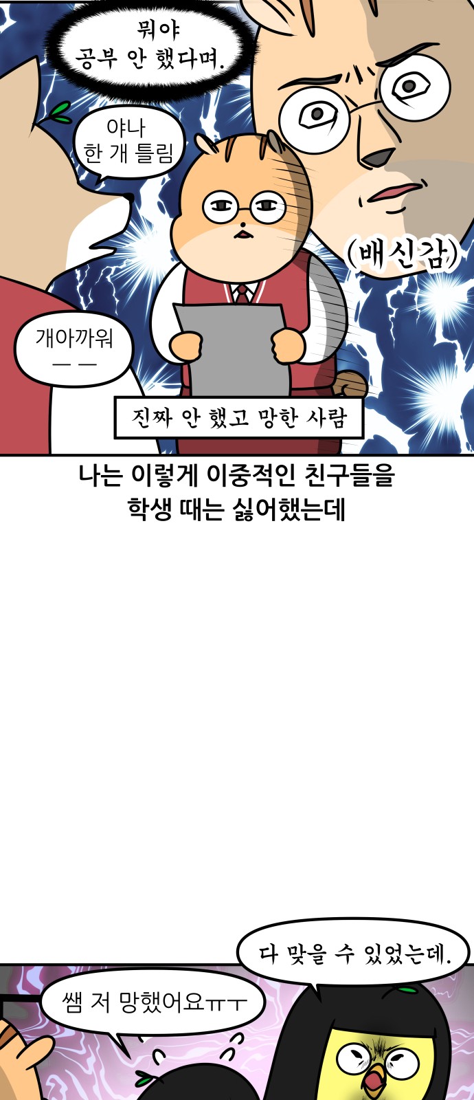 5 페이지