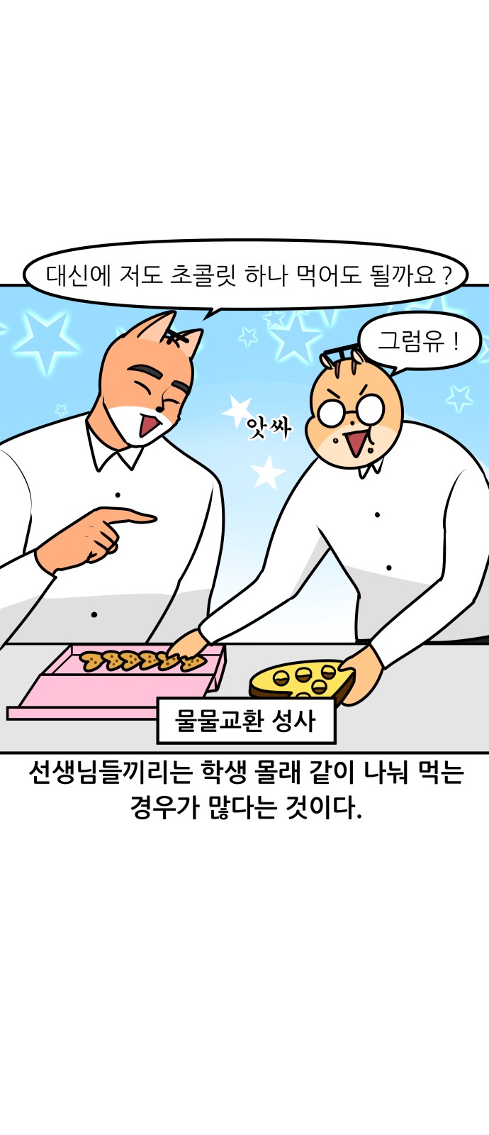 15 페이지
