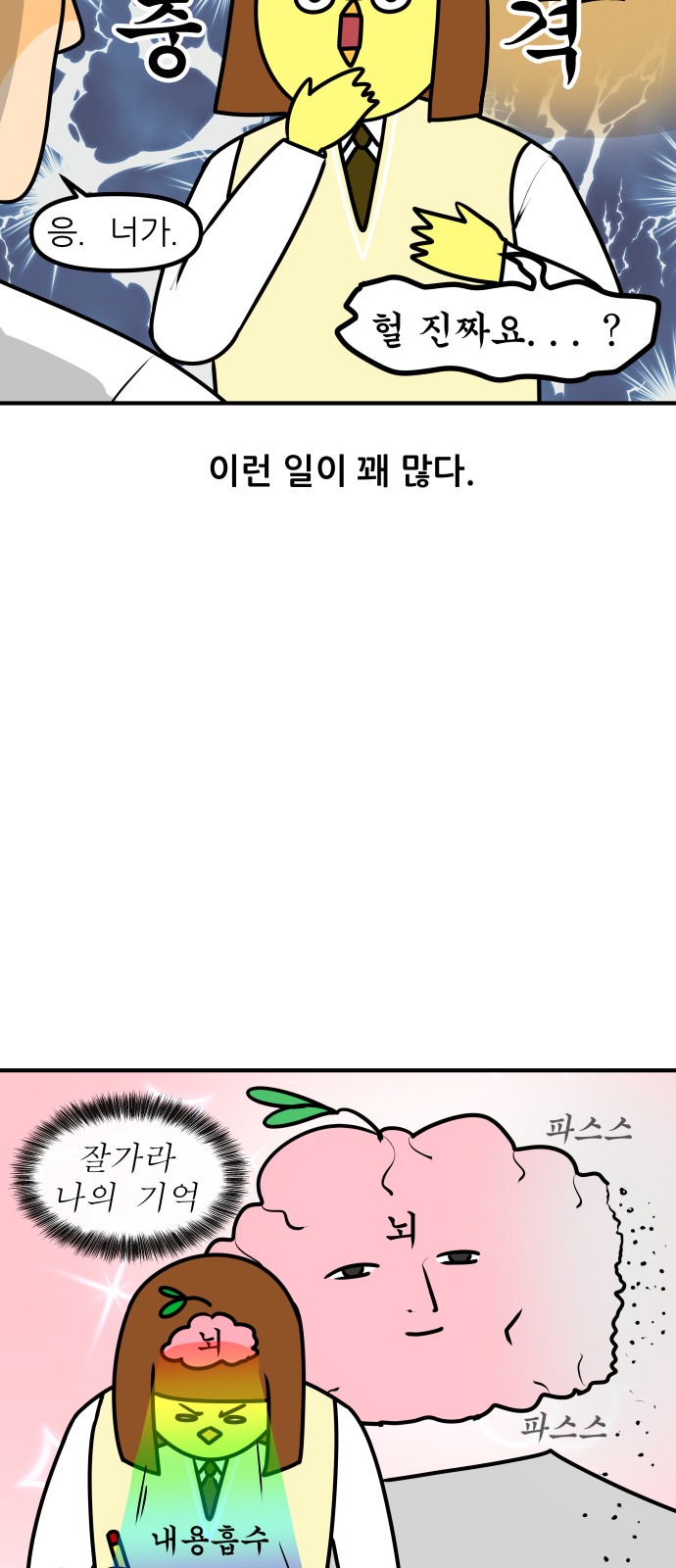 13 페이지