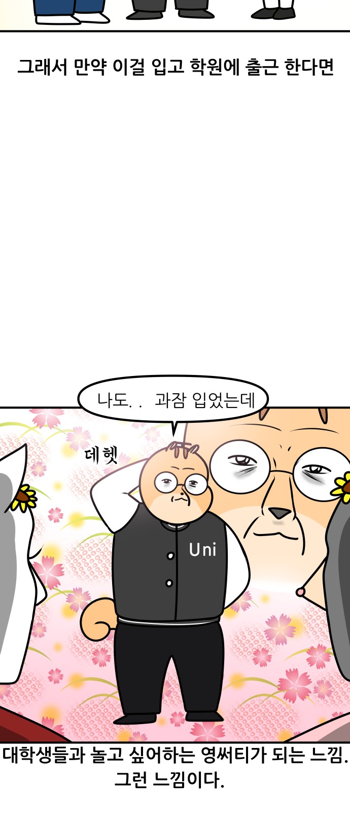 13 페이지