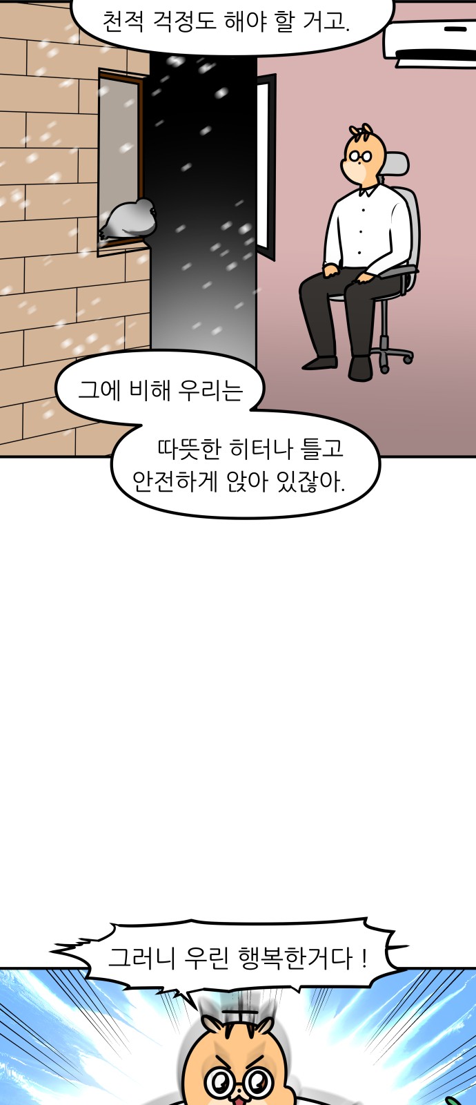 17 페이지