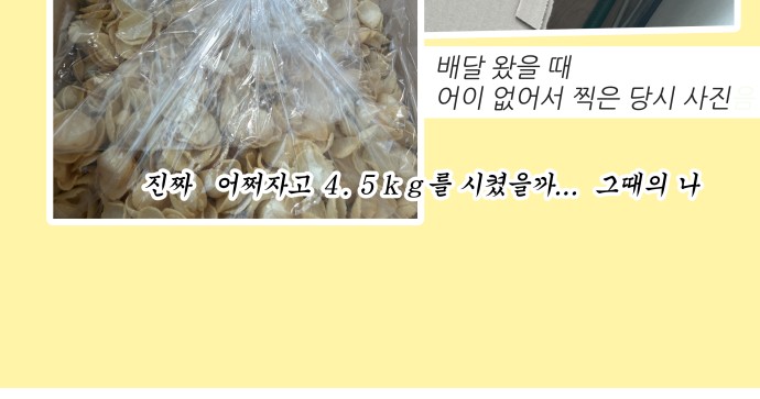 20 페이지