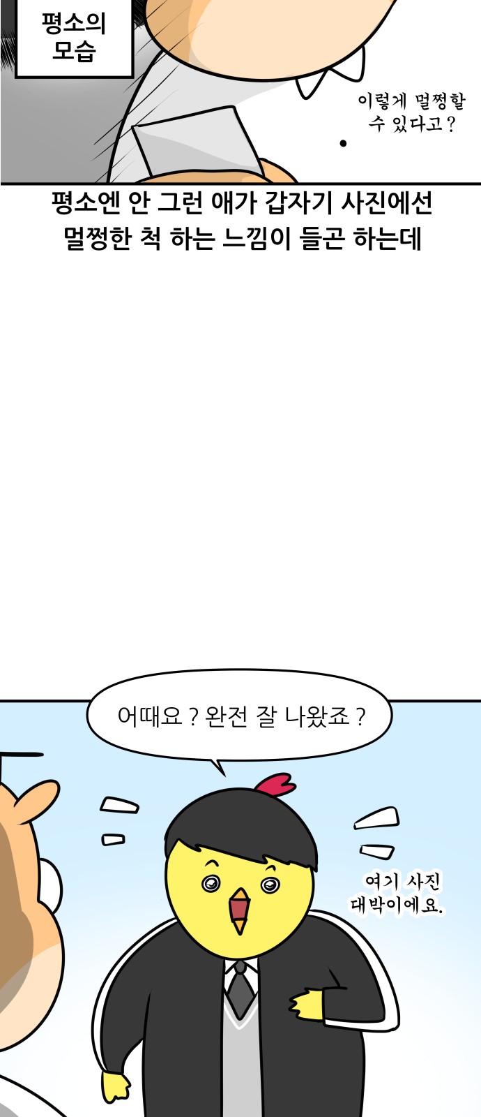 12 페이지