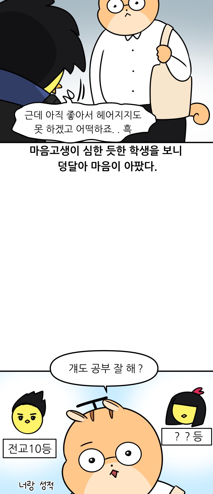 11 페이지