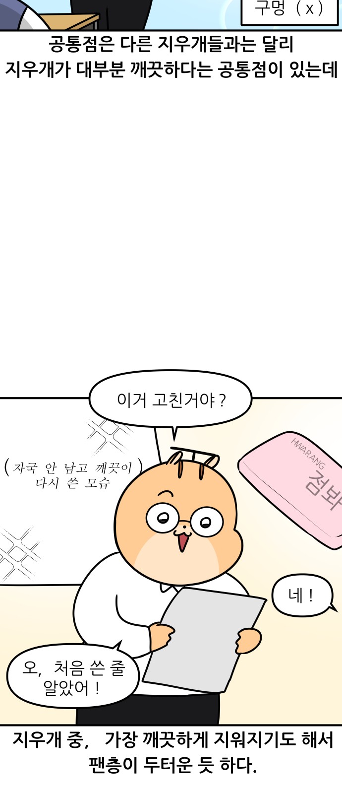 13 페이지