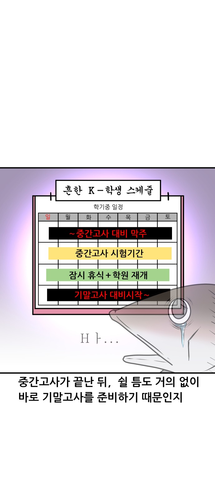 14 페이지