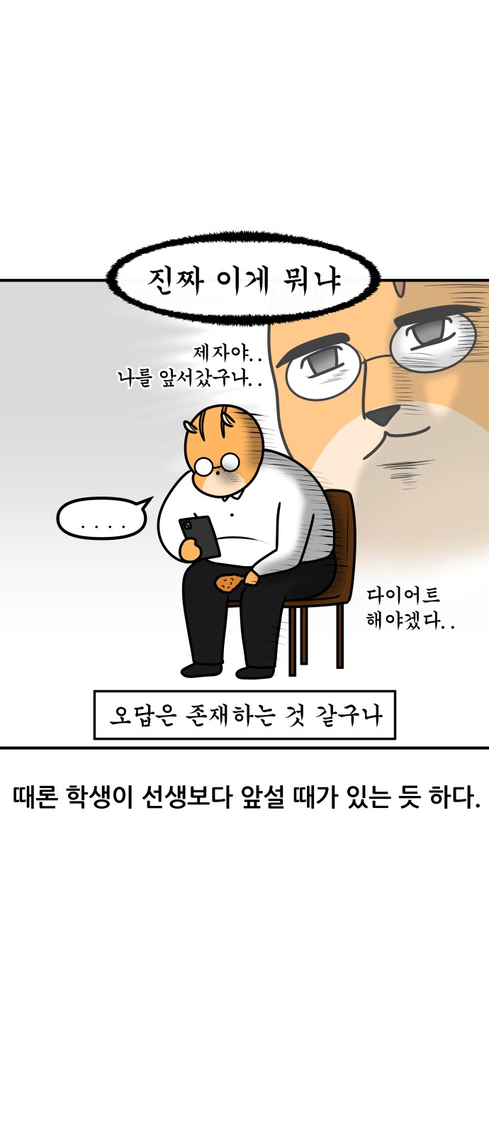 16 페이지