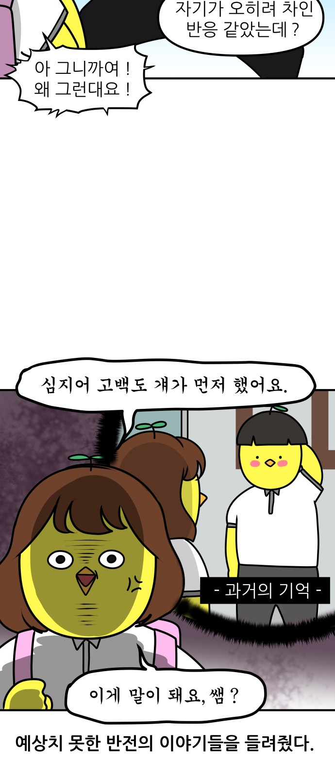 15 페이지