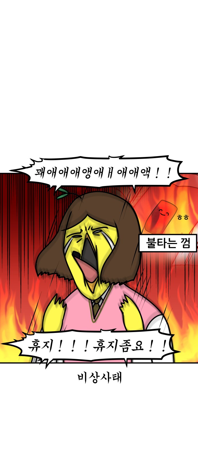 14 페이지