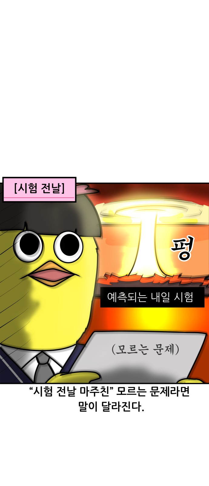 14 페이지