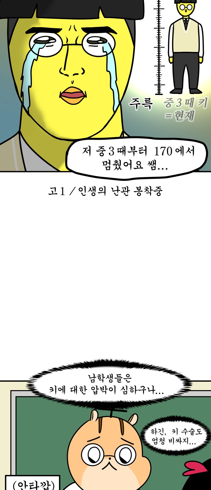 15 페이지
