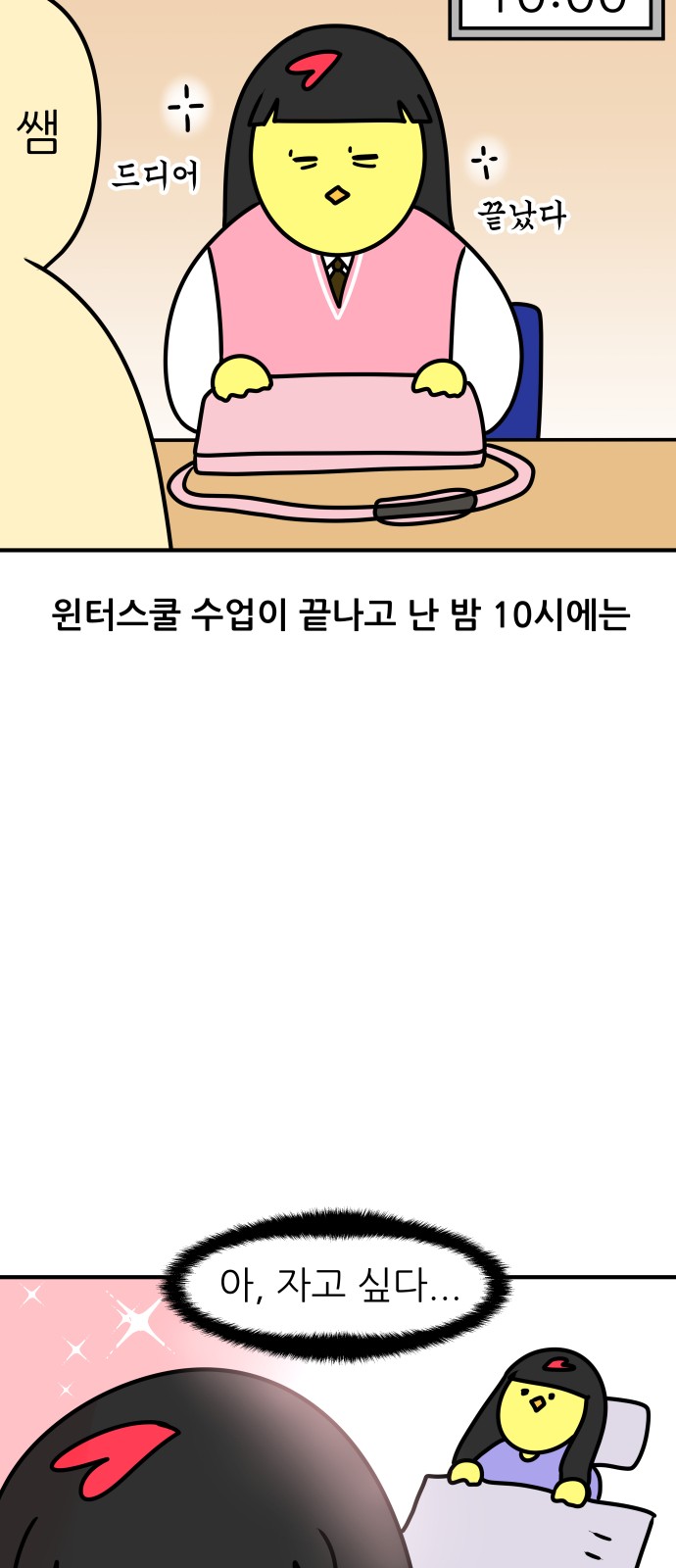 17 페이지