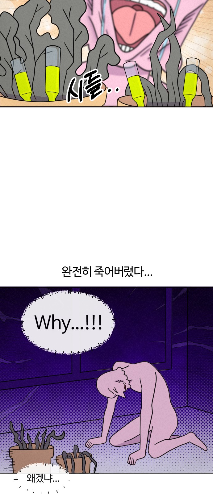 15 페이지
