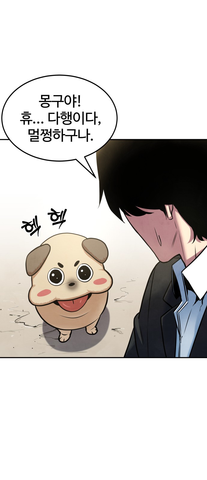 43 페이지