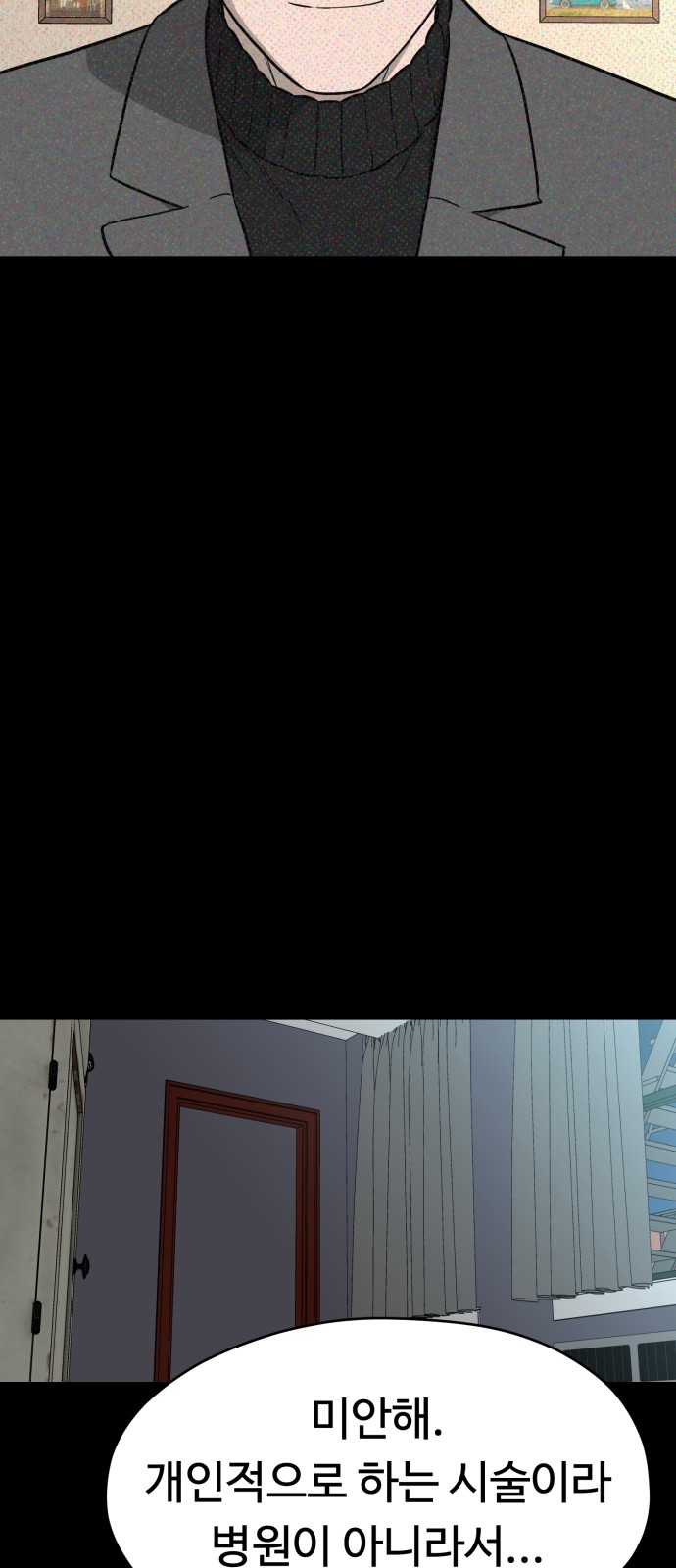 66 페이지