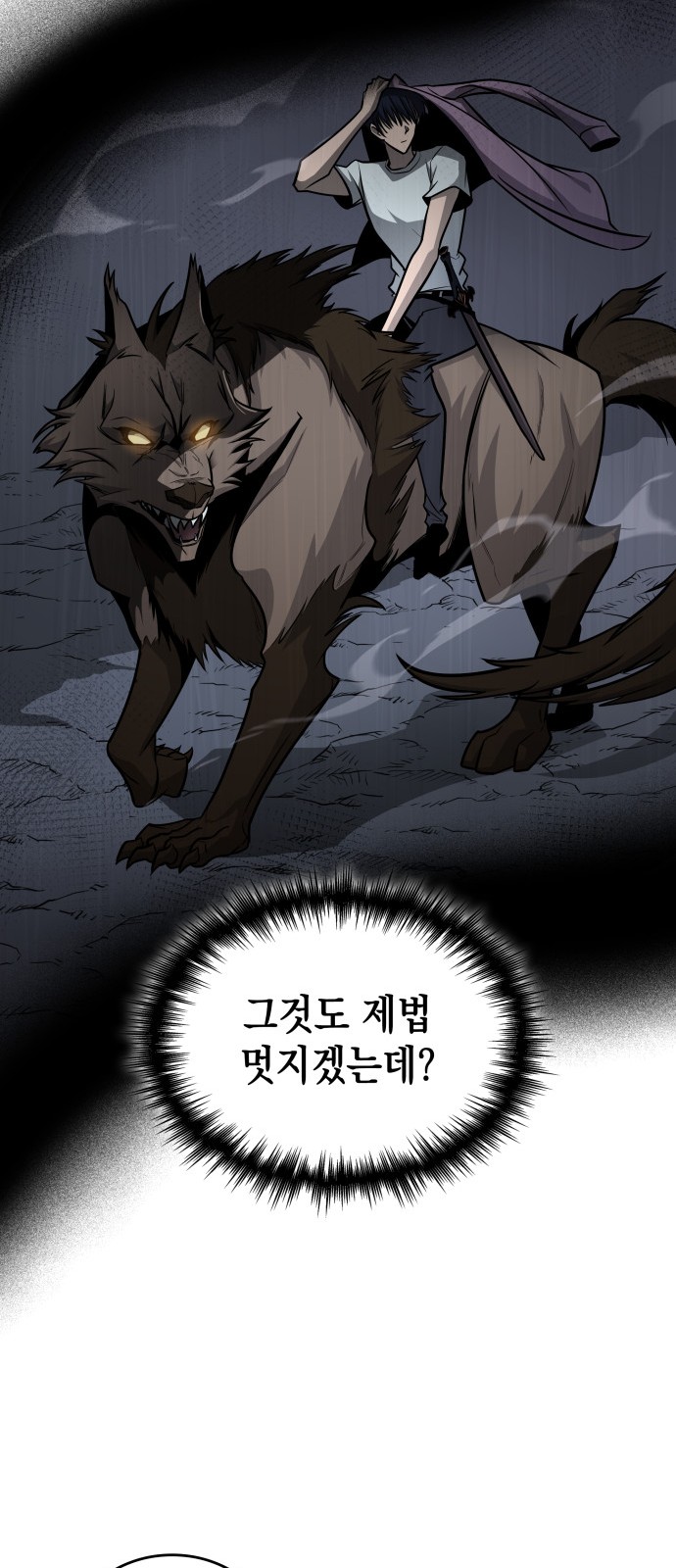 67 페이지