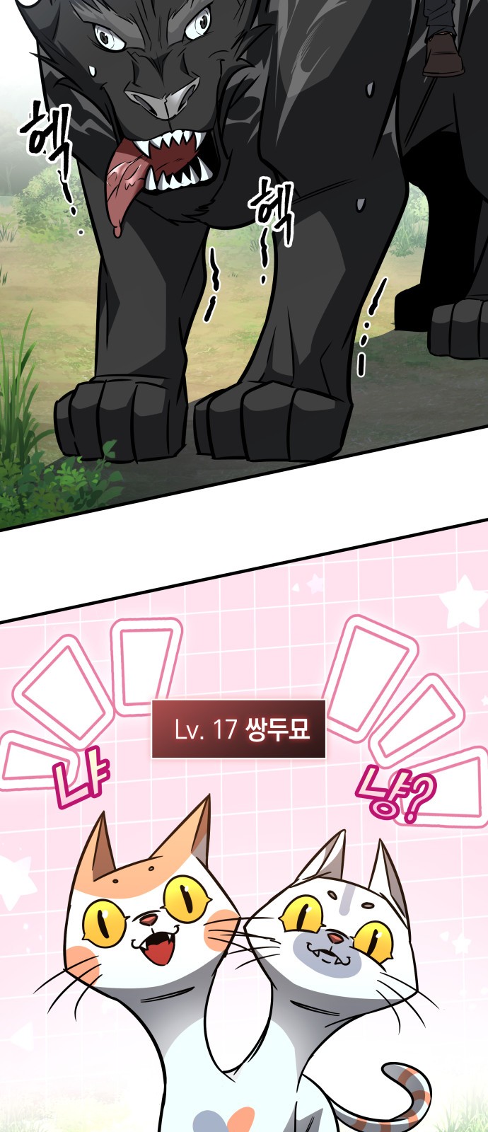 43 페이지