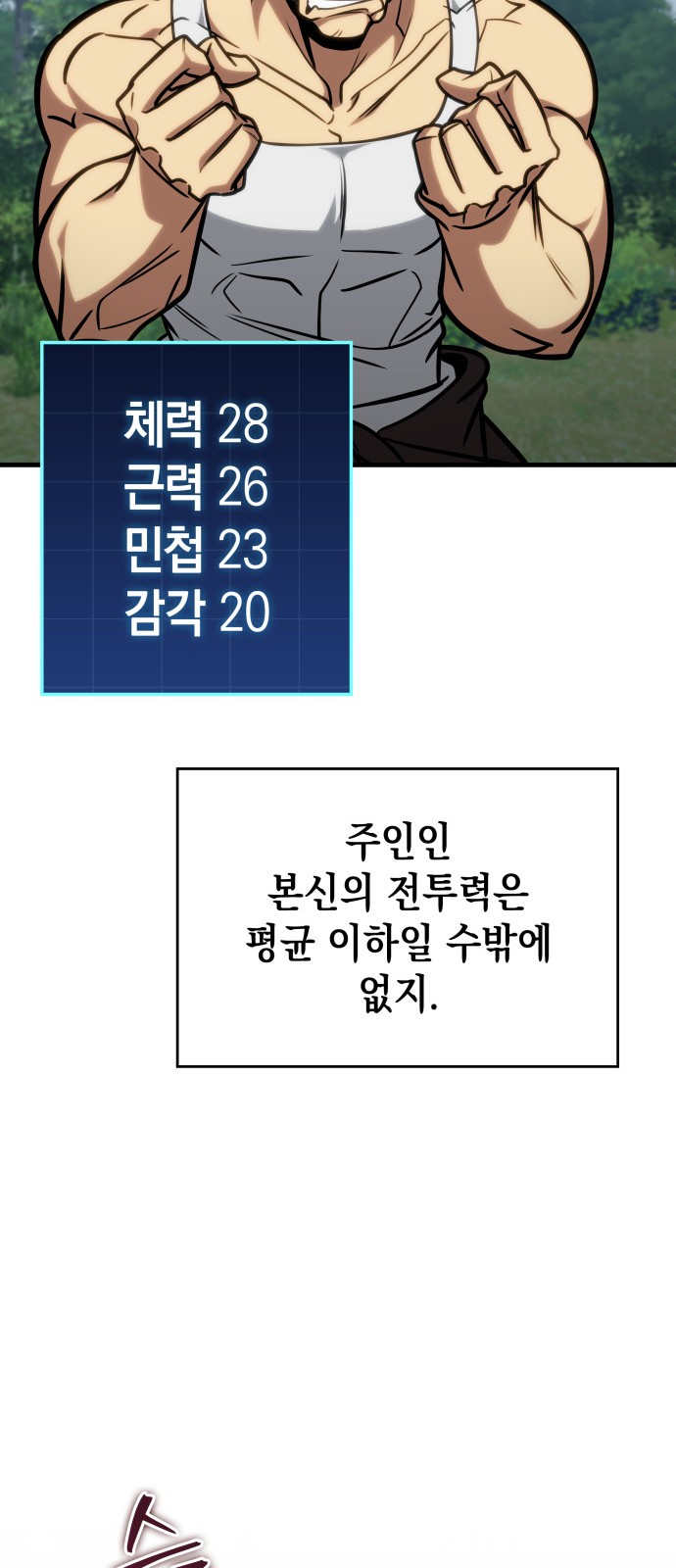 66 페이지