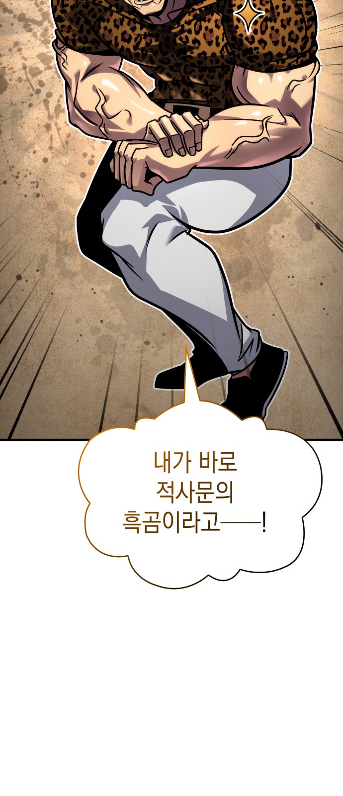 74 페이지