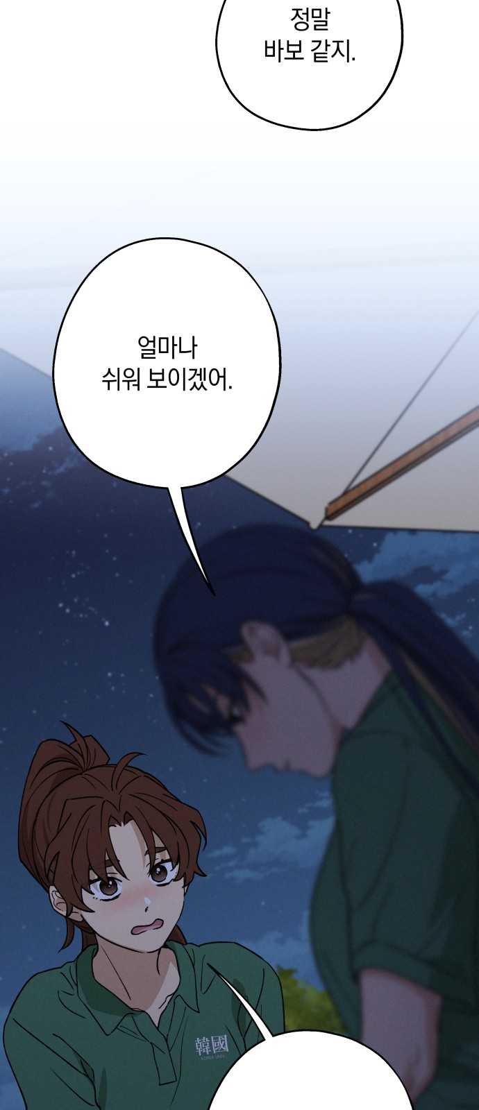 54 페이지
