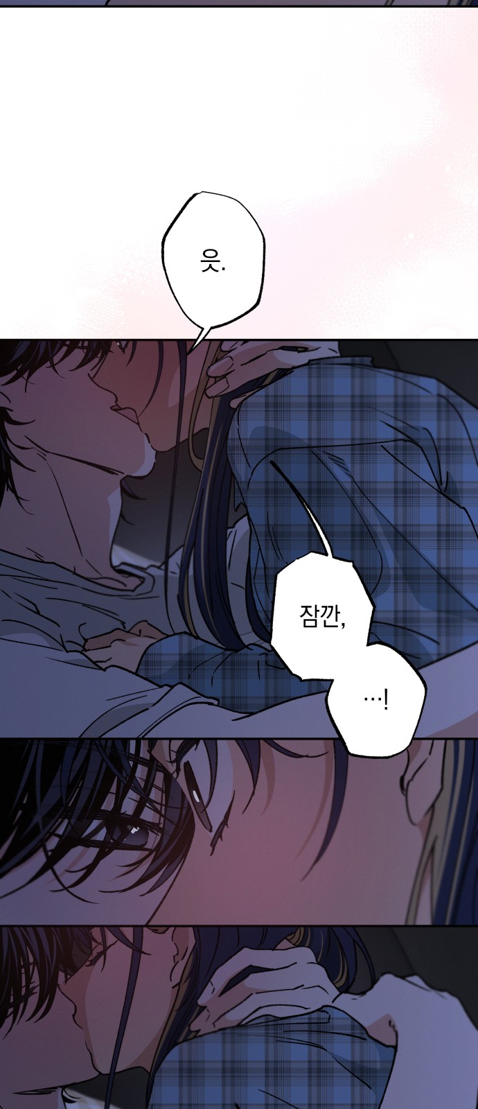 66 페이지