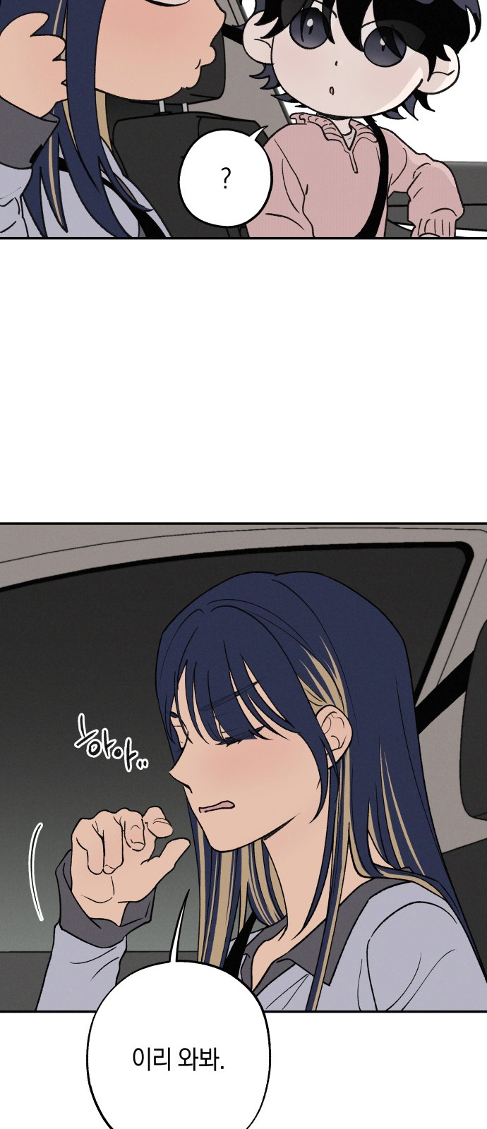 46 페이지