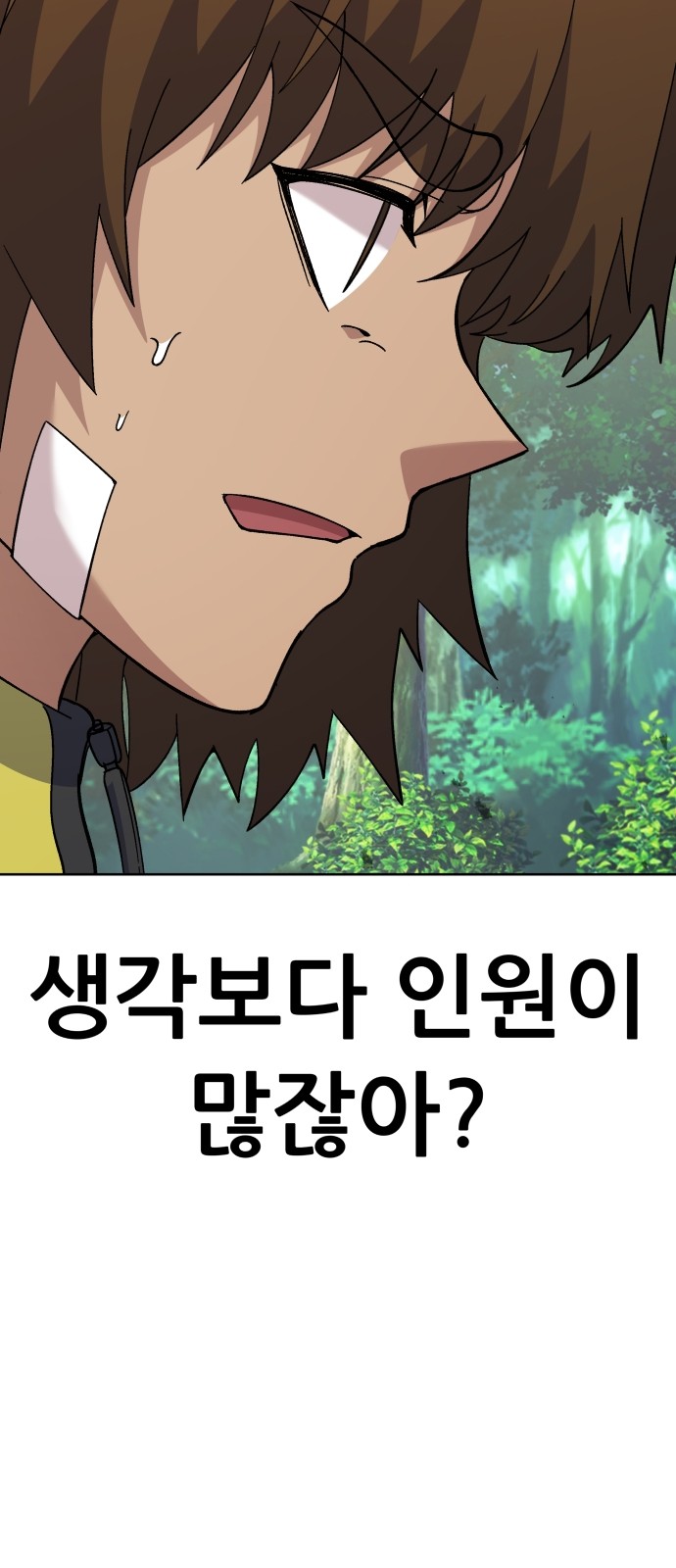 40 페이지