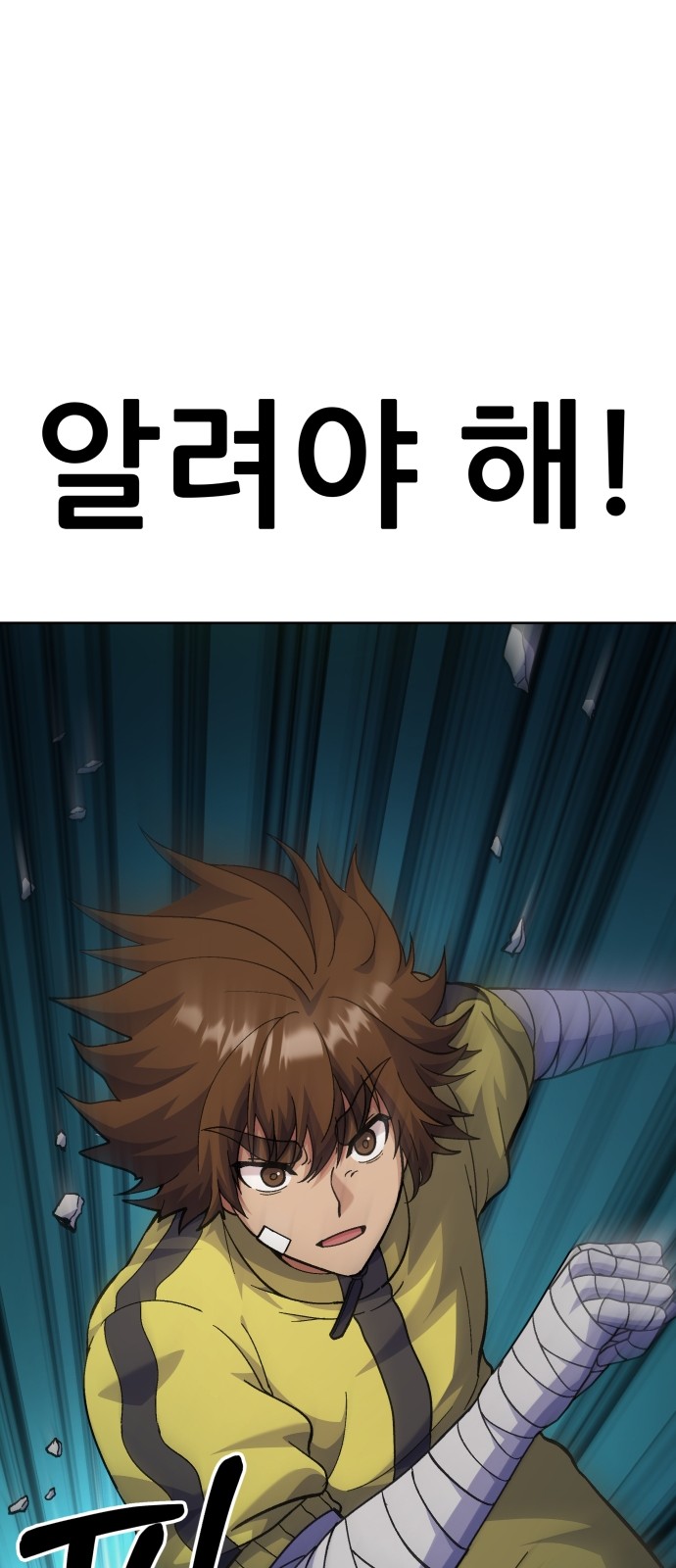 17 페이지