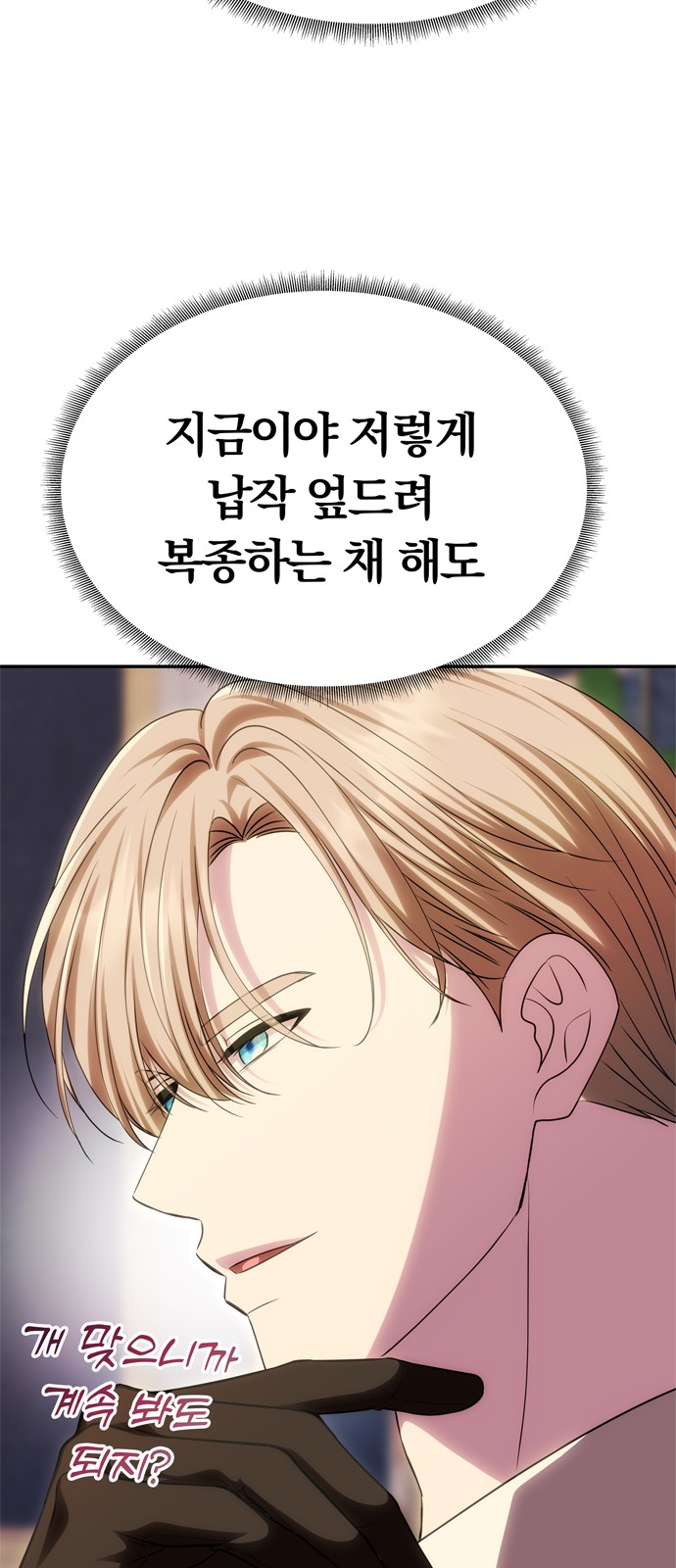 31 페이지