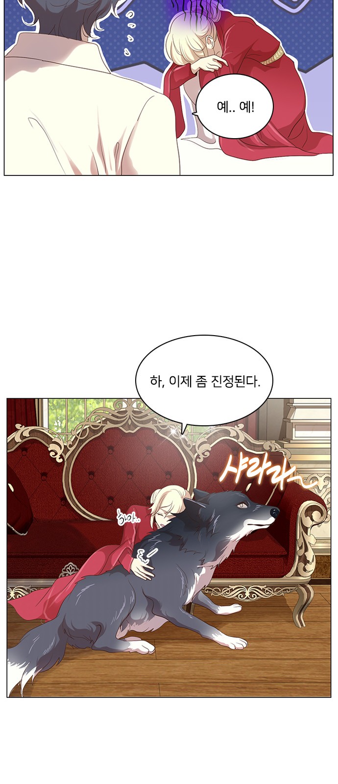 51 페이지