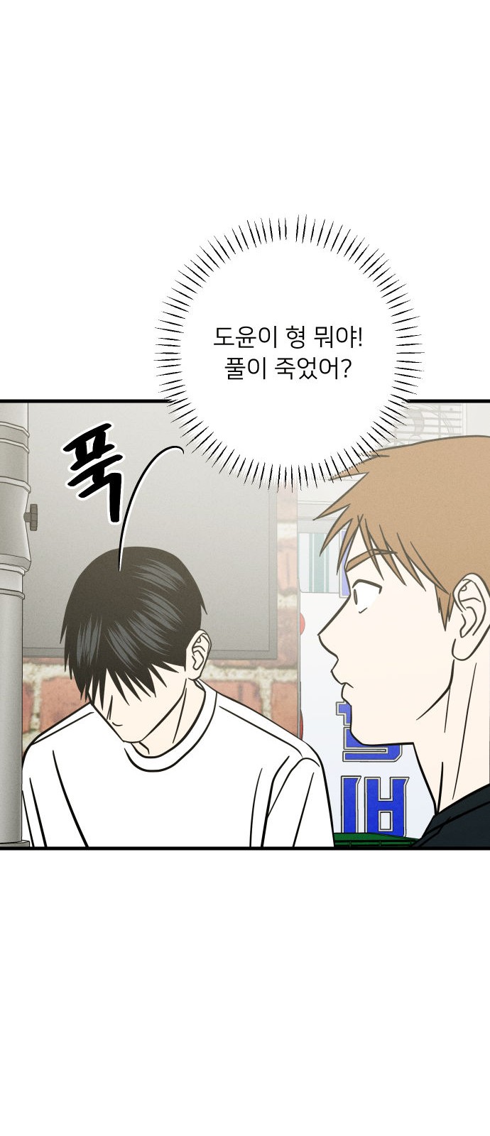 50 페이지