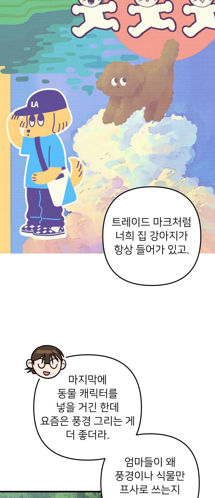 17 페이지