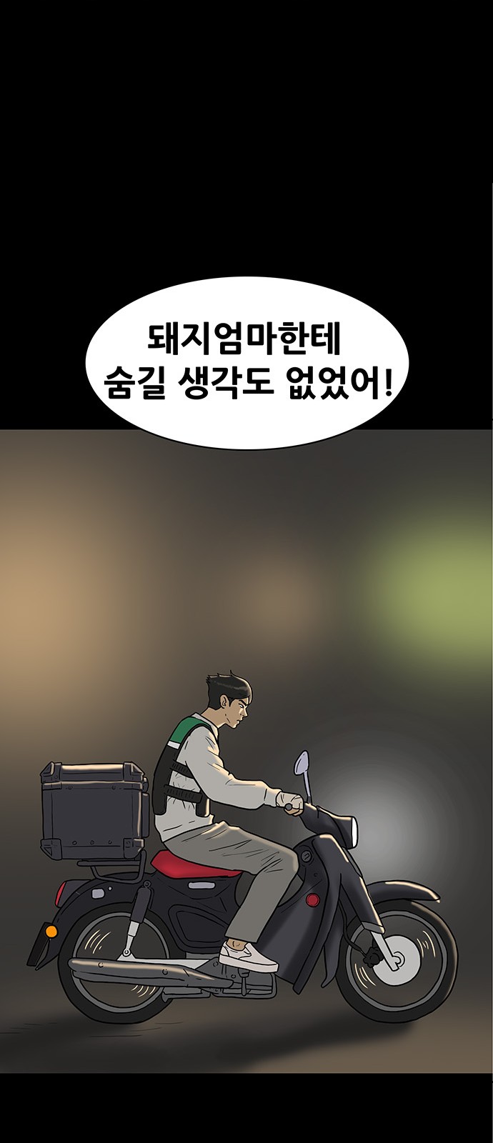 30 페이지