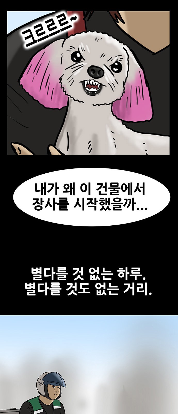 16 페이지