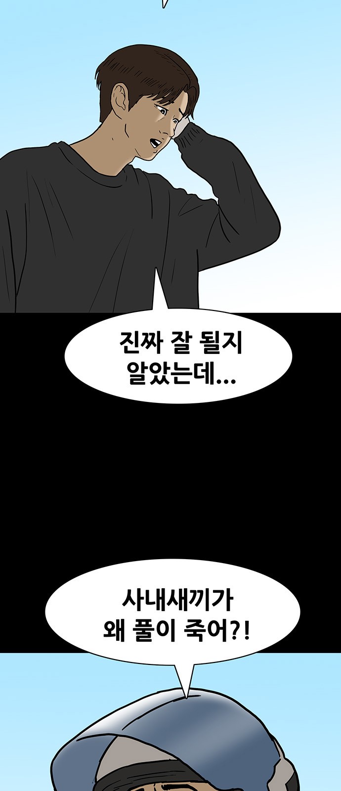 51 페이지