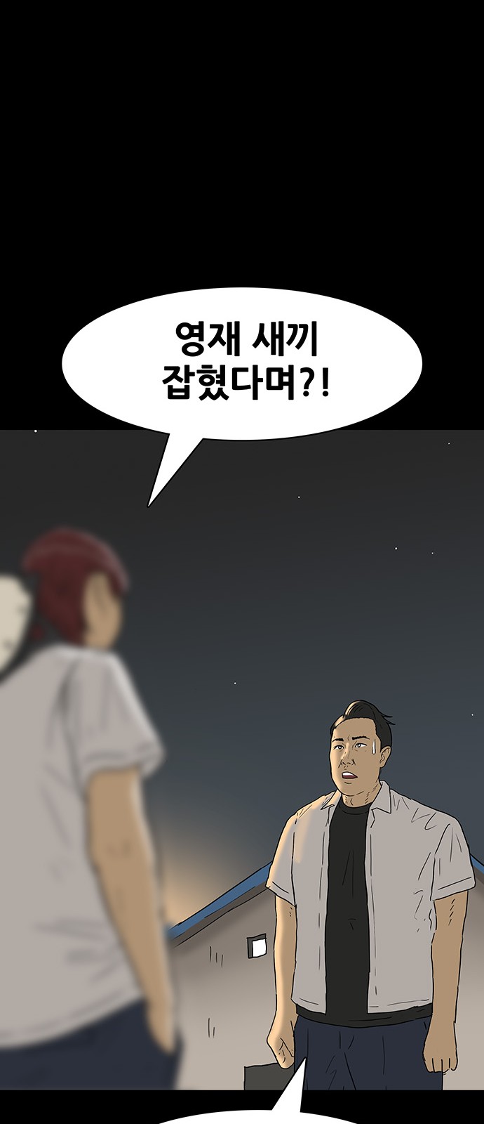 30 페이지
