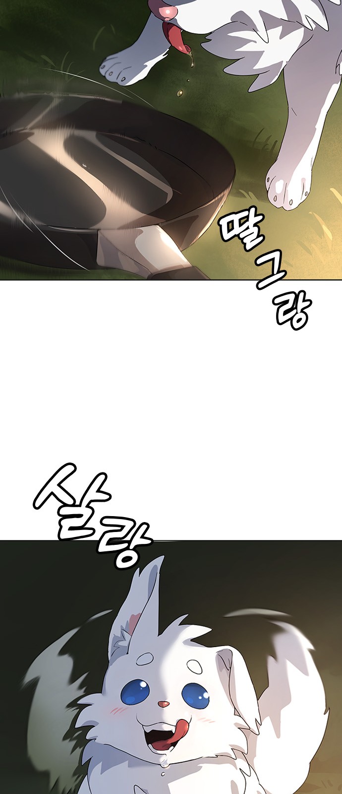 136 페이지