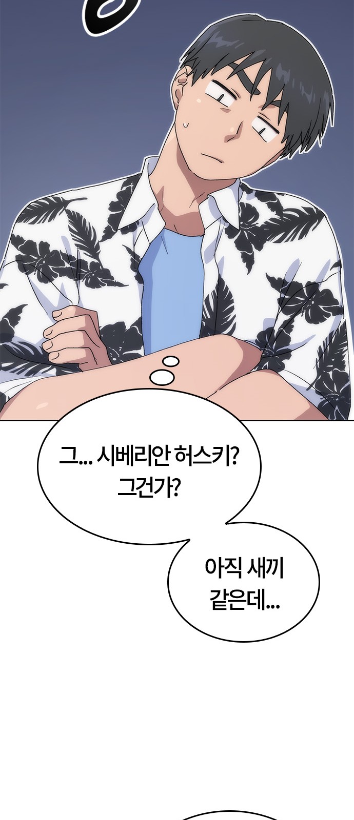 141 페이지