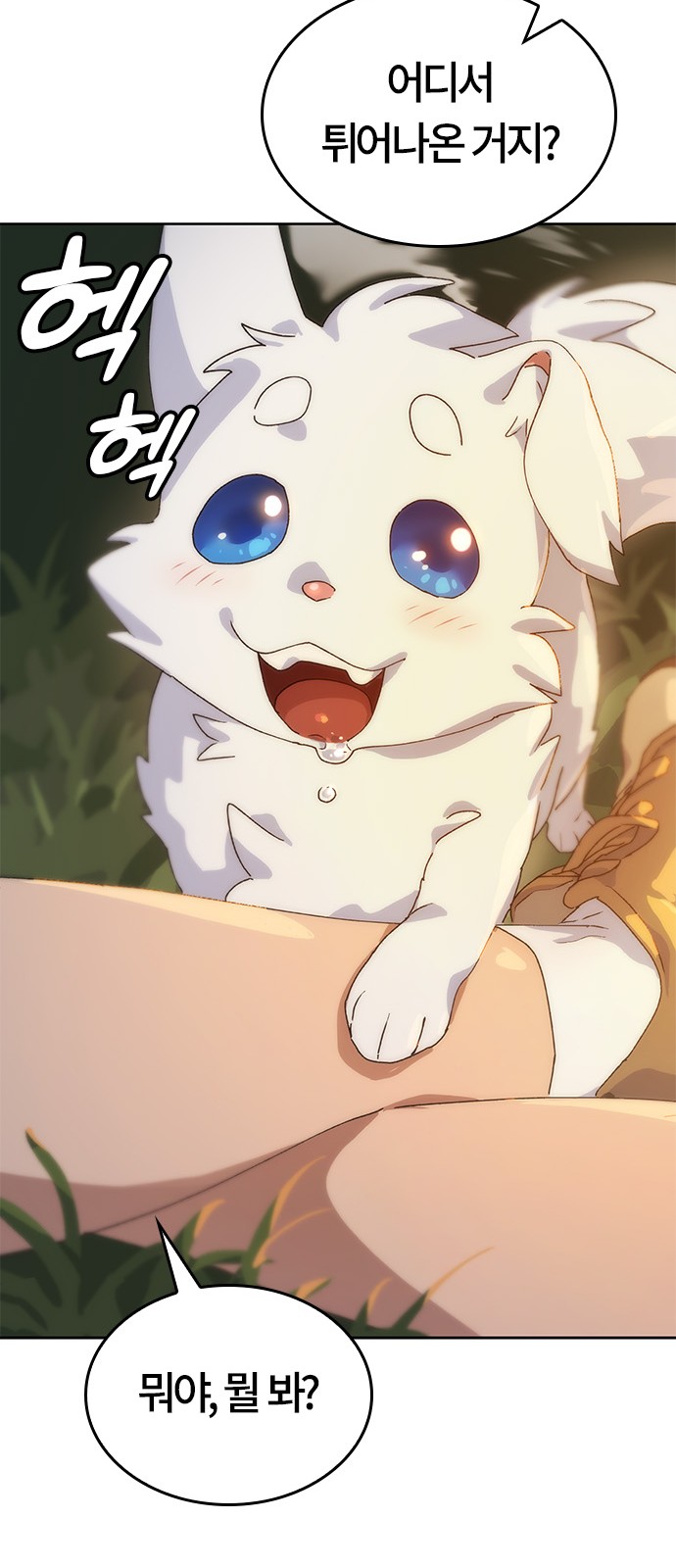 142 페이지