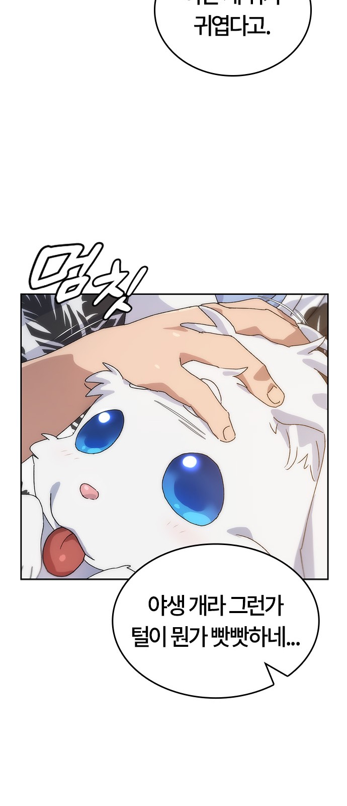 145 페이지