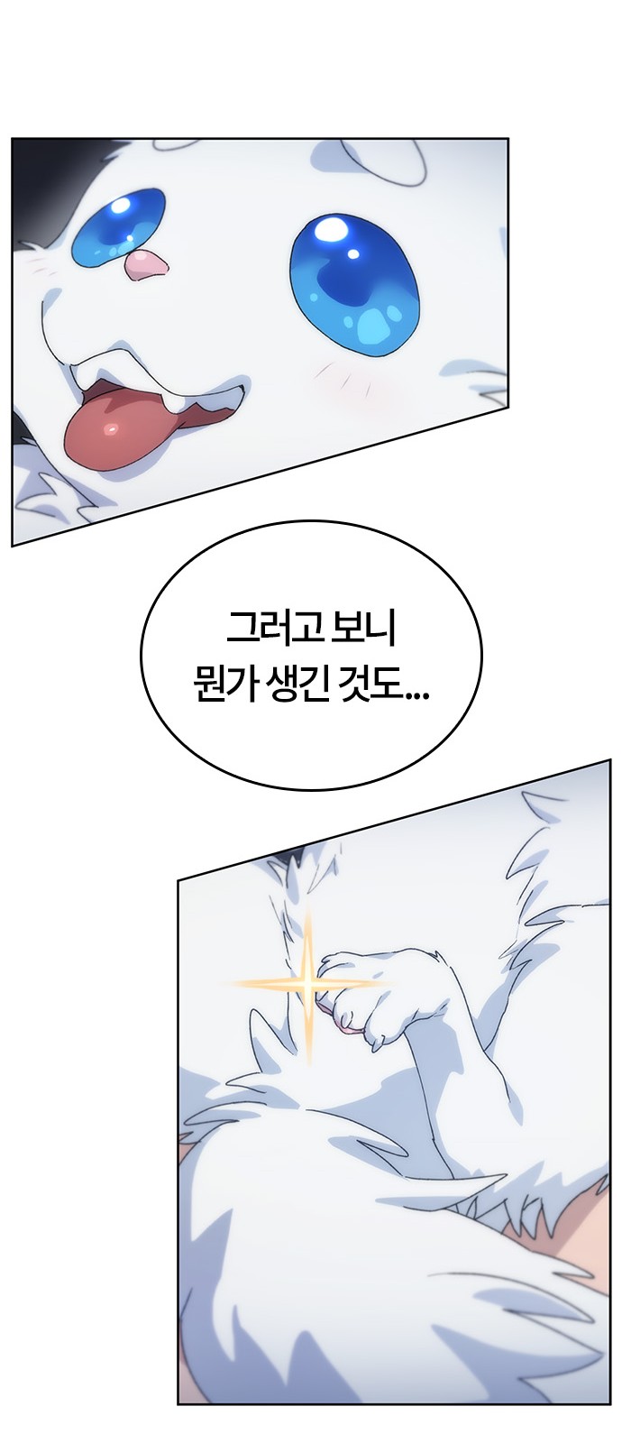 146 페이지